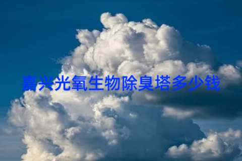 嘉兴光氧生物除臭塔多少钱