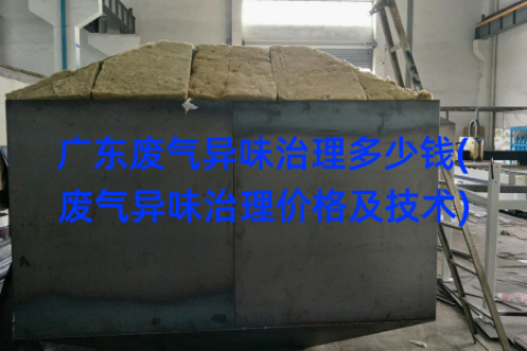 广东废气异味治理多少钱(废气异味治理价格及技术)