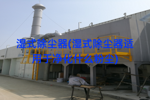 湿式除尘器(湿式除尘器适用于净化什么粉尘)