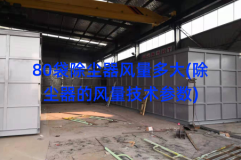 80袋除尘器风量多大(除尘器的风量技术参数)