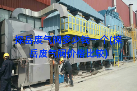 探岳废气阀多少钱一个(探岳废气阀价格比较)