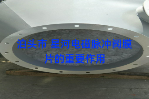 泊头市 星河电磁脉冲阀膜片的重要作用