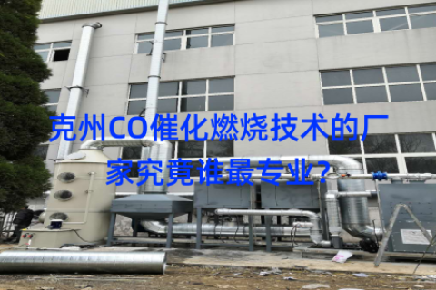克州CO催化燃烧技术的厂家究竟谁最专业？