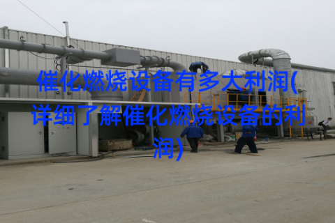 催化燃烧设备有多大利润(详细了解催化燃烧设备的利润)