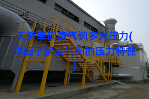 天籁单向废气阀多大压力(详细了解废气阀的压力特性)