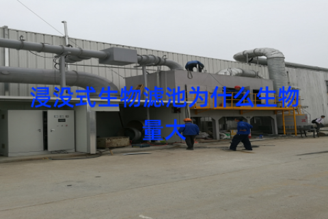 浸没式生物滤池为什么生物量大