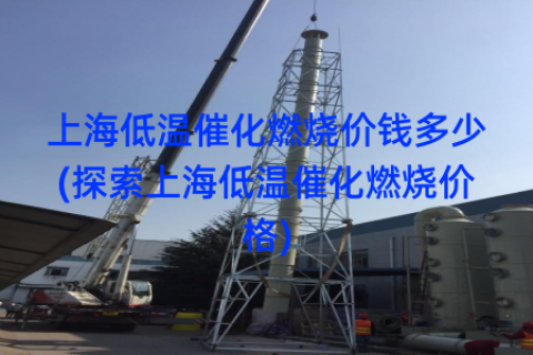 上海低温催化燃烧价钱多少(探索上海低温催化燃烧价格)