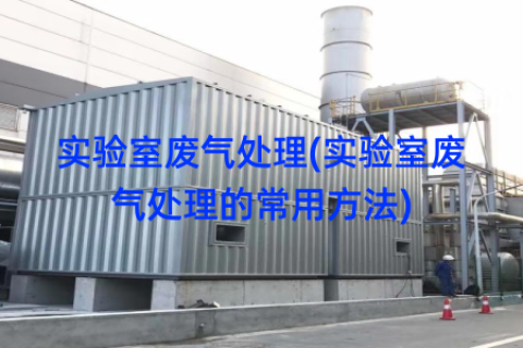 实验室废气处理(实验室废气处理的常用方法)