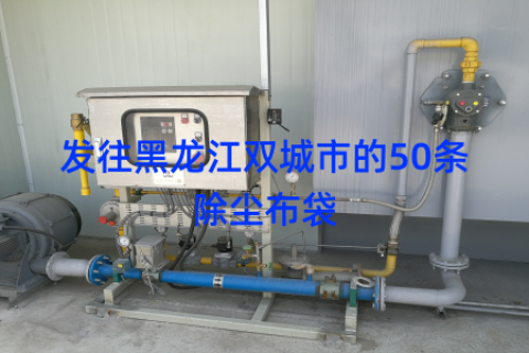 发往黑龙江双城市的50条除尘布袋