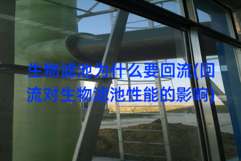 生物滤池为什么要回流(回流对生物滤池性能的影响)