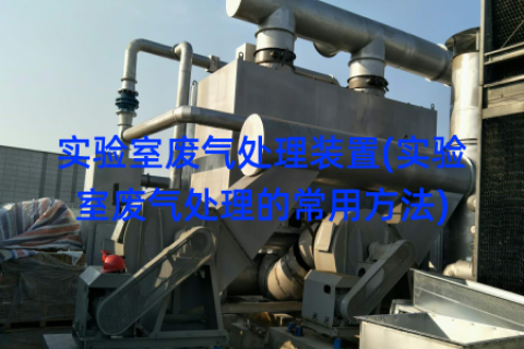 实验室废气处理装置(实验室废气处理的常用方法)