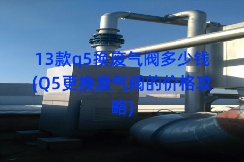13款q5换废气阀多少钱(Q5更换废气阀的价格攻略)