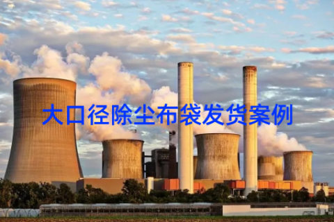 大口径除尘布袋发货案例