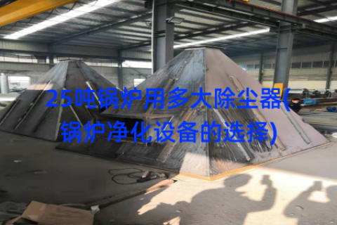 25吨锅炉用多大除尘器(锅炉净化设备的选择)