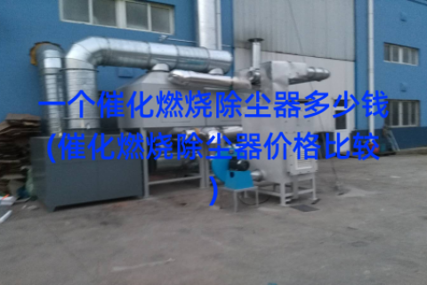 一个催化燃烧除尘器多少钱(催化燃烧除尘器价格比较)