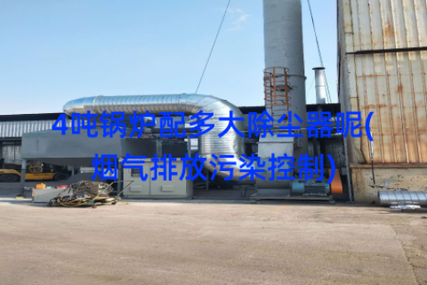 4吨锅炉配多大除尘器呢(烟气排放污染控制)