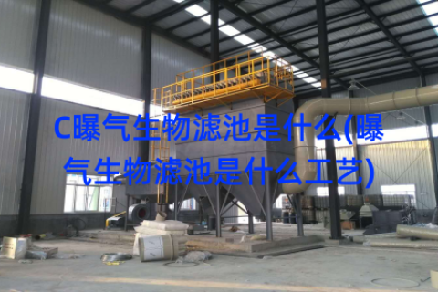 C曝气生物滤池是什么(曝气生物滤池是什么工艺)