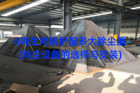 6吨生物锅炉配多大除尘器(除尘设备的选择与安装)