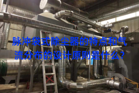 脉冲袋式除尘器的特点和气流分布的设计原则是什么？