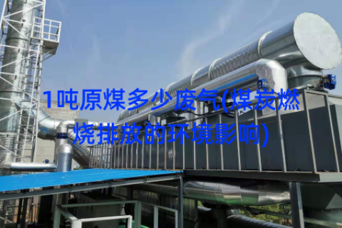1吨原煤多少废气(煤炭燃烧排放的环境影响)