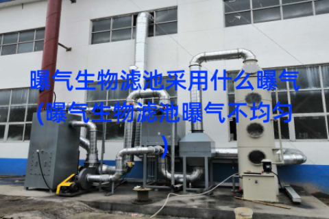 曝气生物滤池采用什么曝气(曝气生物滤池曝气不均匀)