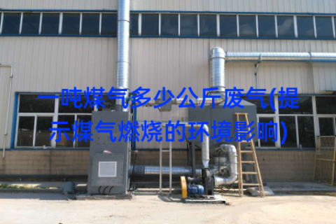 一吨煤气多少公斤废气(提示煤气燃烧的环境影响)