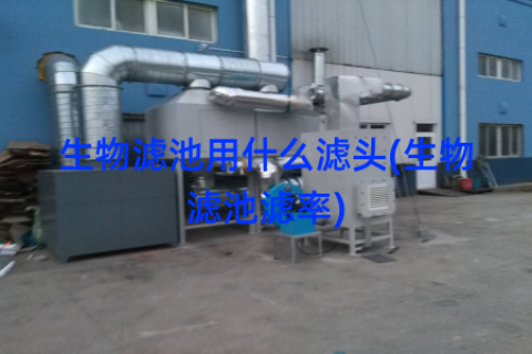 生物滤池用什么滤头(生物滤池滤率)