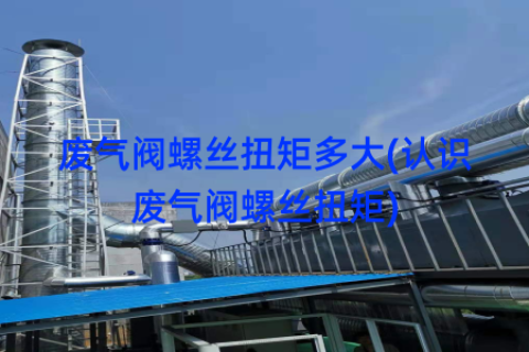 废气阀螺丝扭矩多大(认识废气阀螺丝扭矩)