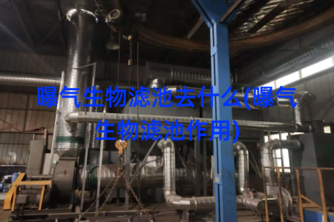 曝气生物滤池去什么(曝气生物滤池作用)