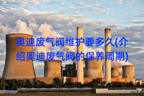奥迪废气阀维护要多久(介绍奥迪废气阀的保养周期)