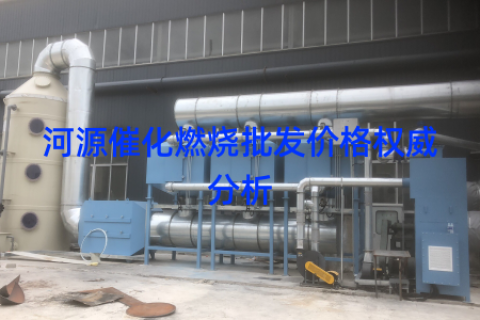 河源催化燃烧批发价格权威分析