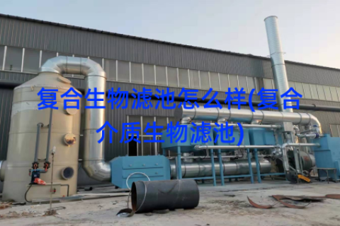 复合生物滤池怎么样(复合介质生物滤池)