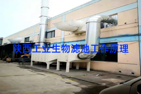 陕西工业生物滤池工作原理