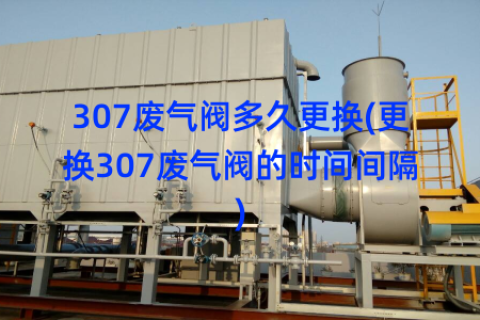 307废气阀多久更换(更换307废气阀的时间间隔)
