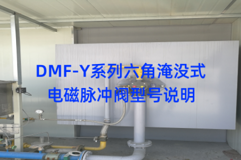 DMF-Y系列六角淹没式电磁脉冲阀型号说明
