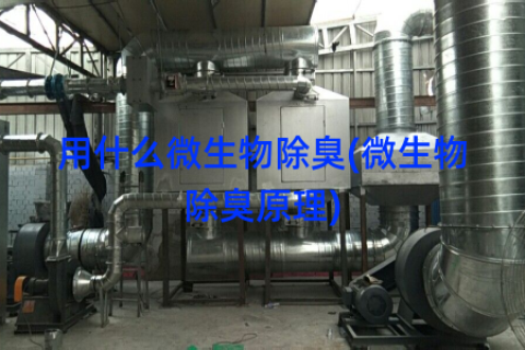 用什么微生物除臭(微生物除臭原理)