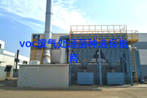 voc废气处理菌种选择指南