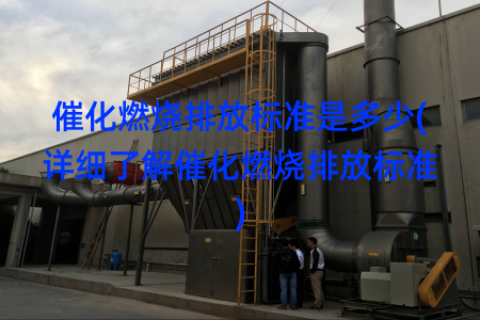 催化燃烧排放标准是多少(详细了解催化燃烧排放标准)