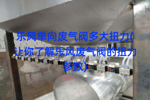 乐风单向废气阀多大扭力(让你了解乐风废气阀的扭力参数)