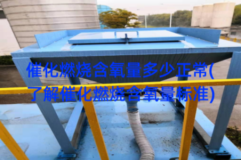 催化燃烧含氧量多少正常(了解催化燃烧含氧量标准)