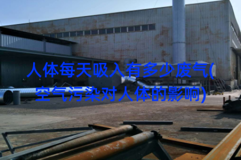 人体每天吸入有多少废气(空气污染对人体的影响)