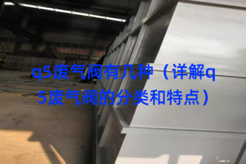 q5废气阀有几种（详解q5废气阀的分类和特点）