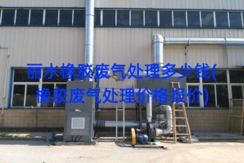 丽水橡胶废气处理多少钱(橡胶废气处理价格报价)