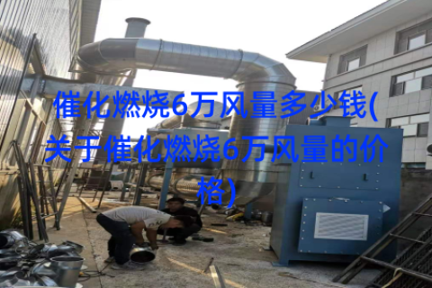 催化燃烧6万风量多少钱(关于催化燃烧6万风量的价格)