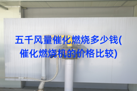 五千风量催化燃烧多少钱(催化燃烧机的价格比较)