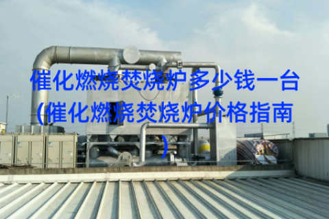 催化燃烧焚烧炉多少钱一台(催化燃烧焚烧炉价格指南)