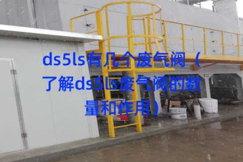 ds5ls有几个废气阀（了解ds5ls废气阀的数量和作用）