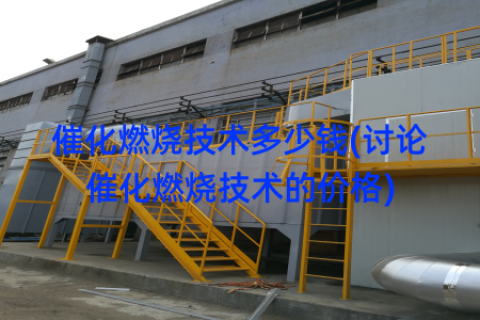 催化燃烧技术多少钱(讨论催化燃烧技术的价格)