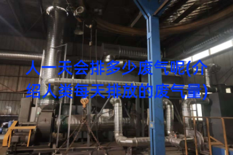 人一天会排多少废气呢(介绍人类每天排放的废气量)