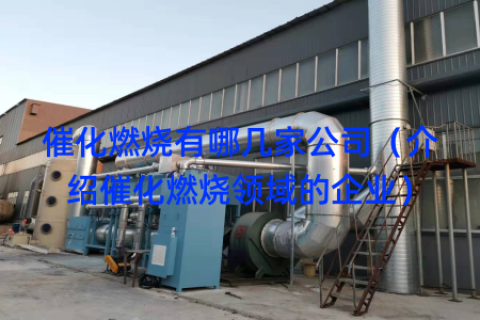 催化燃烧有哪几家公司（介绍催化燃烧领域的企业）